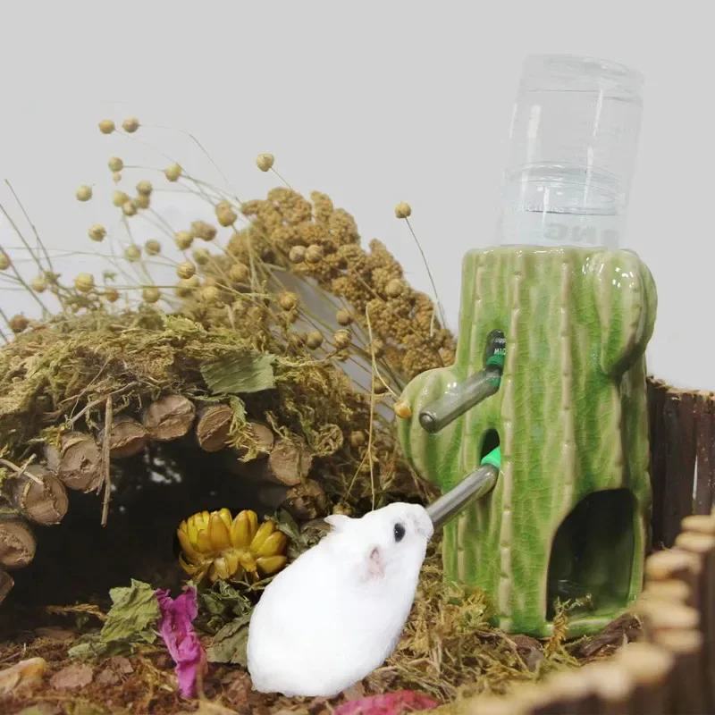 Casetta per criceti e ratti, gabbia in ceramica a forma di cactus per riccio, gabbia per criceti e conigli, prodotti per animali domestici, cincillà - immagine 2
