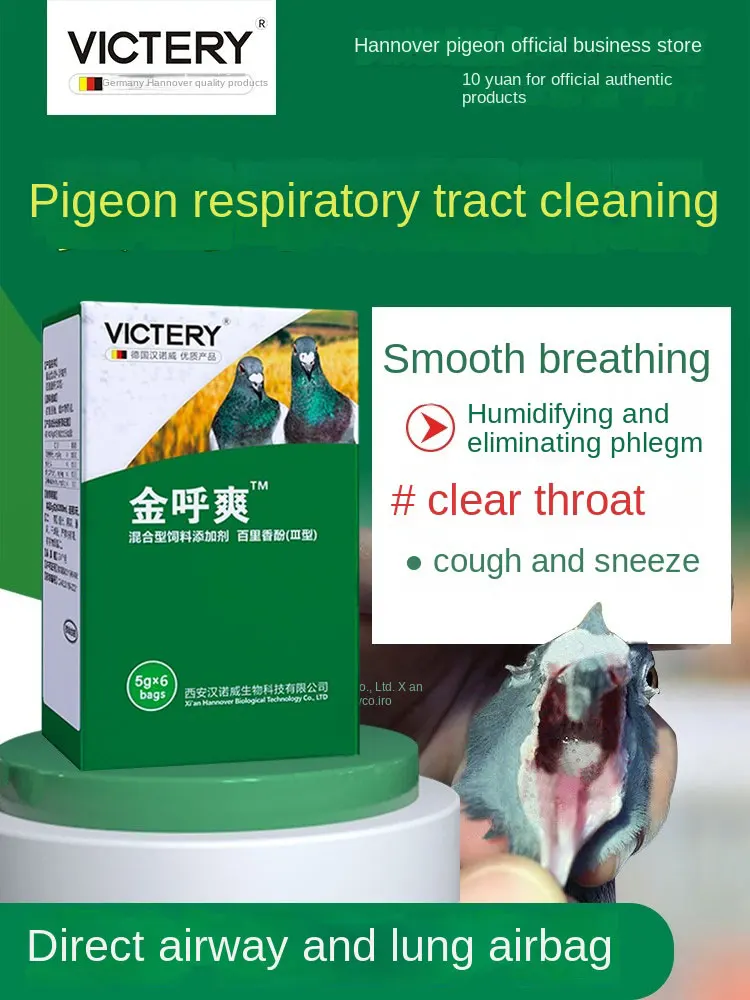 

Pigeon Airway Special Golden Call Shuang Letter Pigeon Clears Airway Cough Does Not Fly High