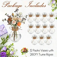 12PCS Transparent Plastic Vases Cute Tiny Flower Bulb Plant Containers Mini Hydroponic Plant Flowerpot Rustic Wedding Home Decor 1