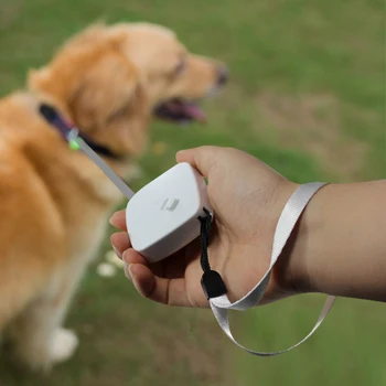 Retractable 2M Dog Leash Automatic Freely Dog Puppy Cat Traction Rope Belt Dog Leash 5