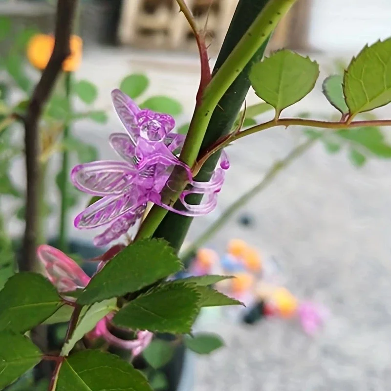 6pcs-Cute Clips for Fixing Climbing Vine Garden