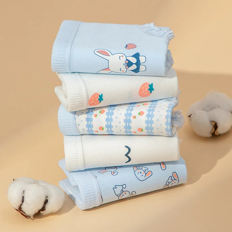 Cotton Strawberry Cute Rabbit Women's Panties Image 2