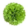 Avocado green
