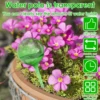 10Pcs Automatic Plant Watering Bulbs Self Watering Globe Balls Plant Water Feeder Water Device Drip Irrigation System for Garden 2