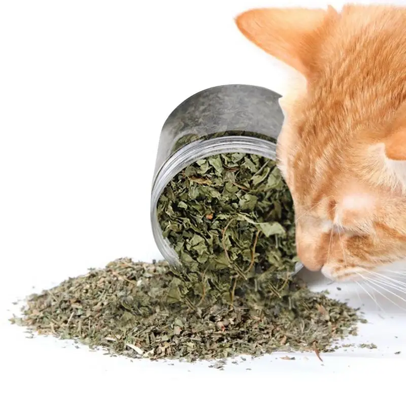 

Cat Mint Catnip Natural Catnip Organic Pet Dried Mint Grass kitten Teeth Cleaning Catnip Dried Leaves indoor pet supplies