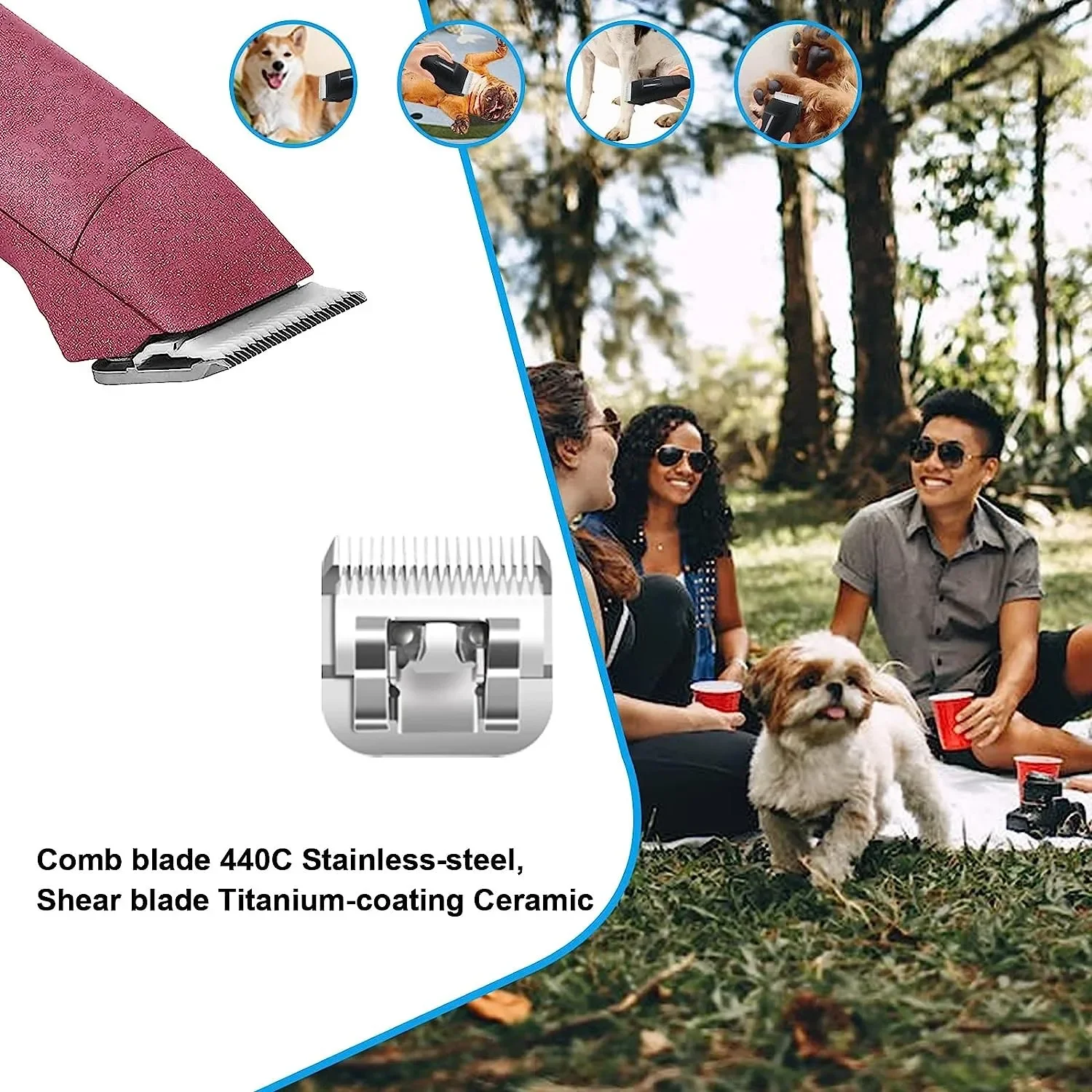 Slide image 37e45a17ff5340e8a4ef656e90c12a87