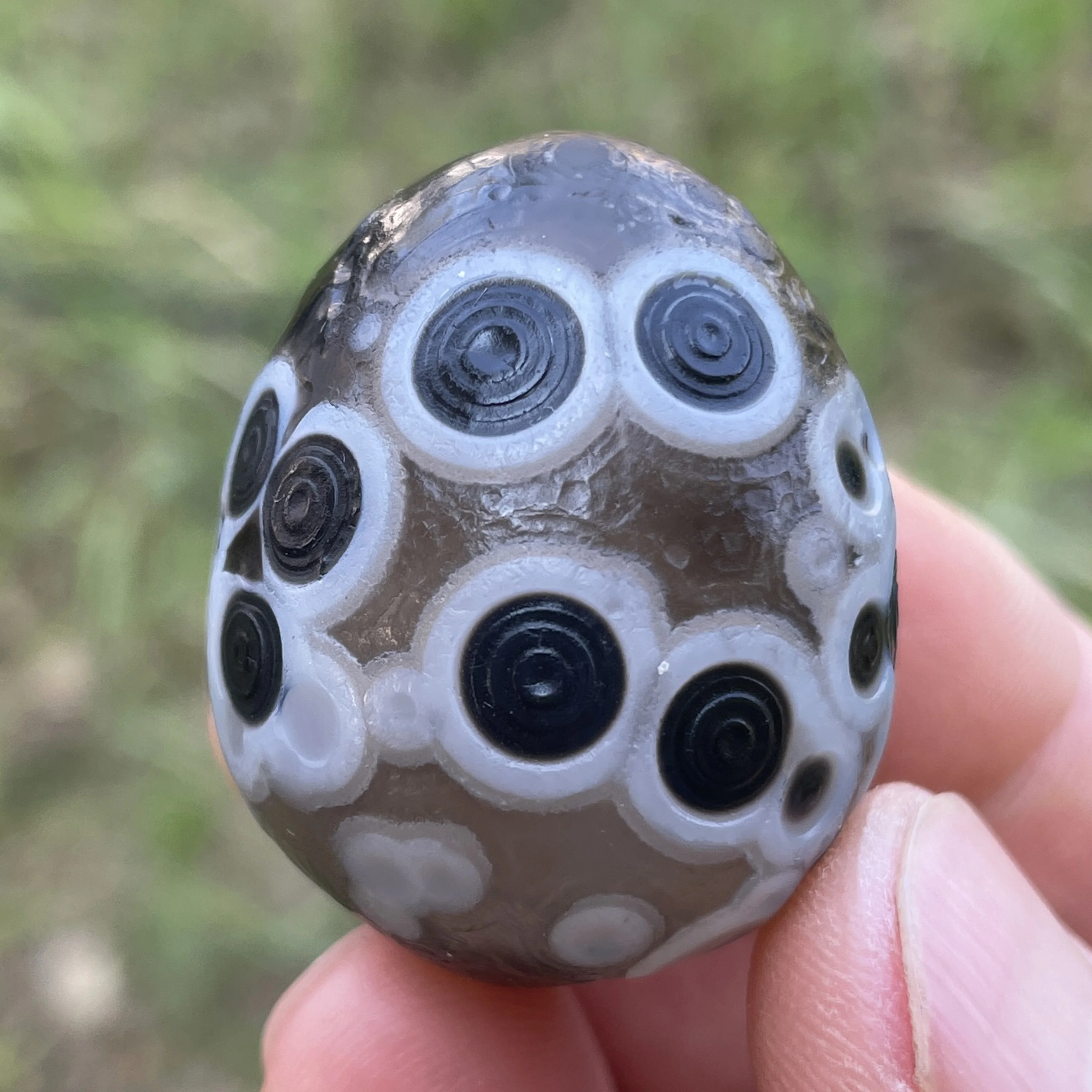 Natural Sardonyx Black Agate Alxa Gobi Eye Rock Mineral Specimen Energy Crystal Chakra Reiki Healing Stone Garden Decor DD1-8 - Image 4