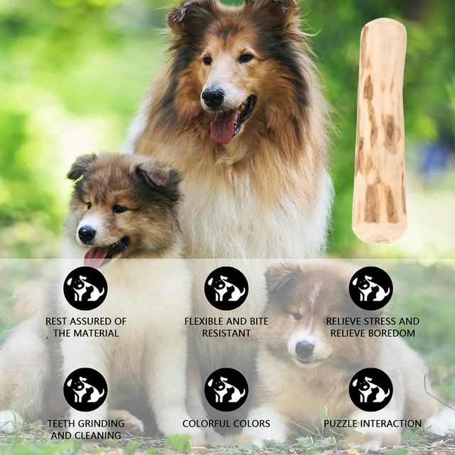 Tige de broyage des dents de chien, jouet à mâcher en bois, café naturel, bâton à croquer, résistant aux morsures, jouet pour soulager l'anxiété, fournitures pour animaux de compagnie 2
