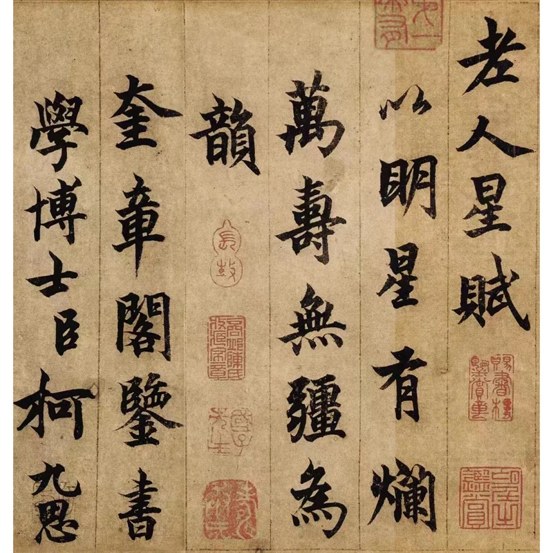

Династия юань (1271-1368 AD), каллиграфия Ke Jiusi, Репродукция «Звезда старшего человека», фотосессия в музее древней боли