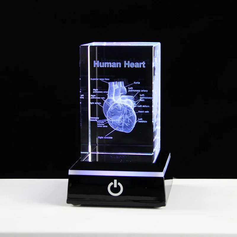 

Crystal Heart Model Cube 3D Laser Engraved Anatomical Figurines Medical Science Souvenir Gifts Home Decoration Paperweight