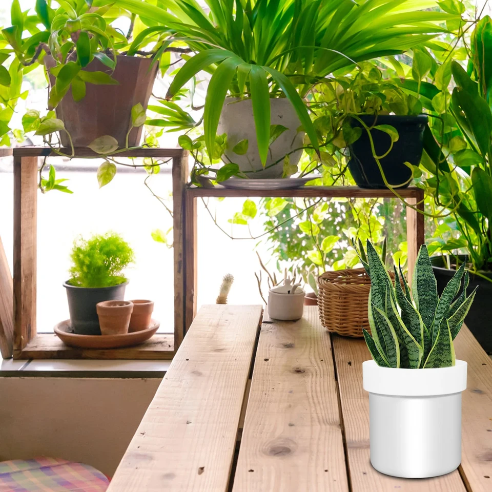 Coffre-fort Pour Pot De Fleurs Avec Sac à Billets Et Serrure, Pot De Fleurs à 2 Couches, Compartiment Secret, Coffre-fort Décoratif Caché En Métal