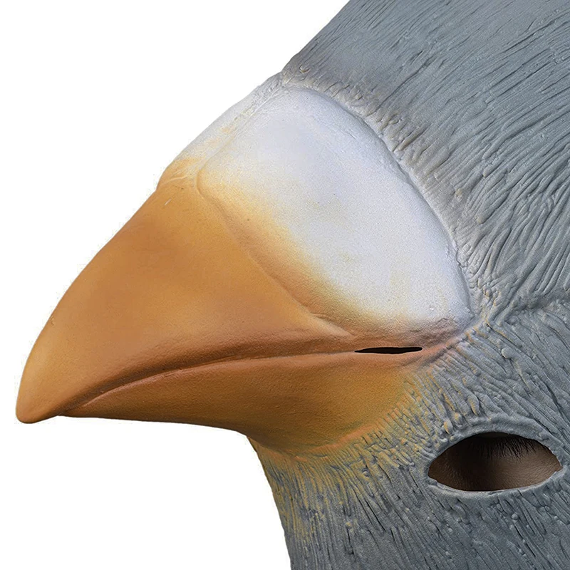 Inserted Image