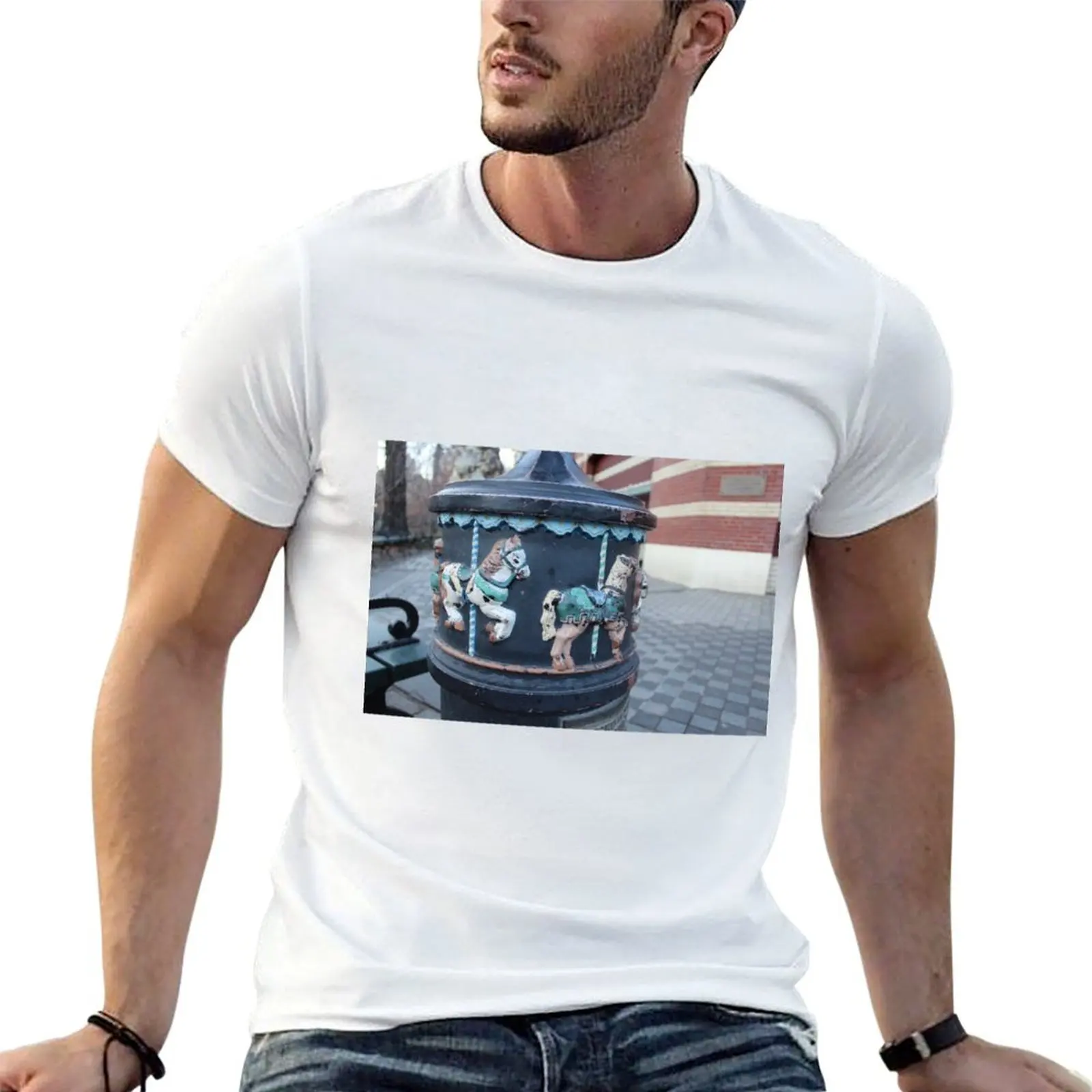 

Pillar at Central Park T-shirt oversized shirts graphic tees summer tops cute clothes t shirts for men