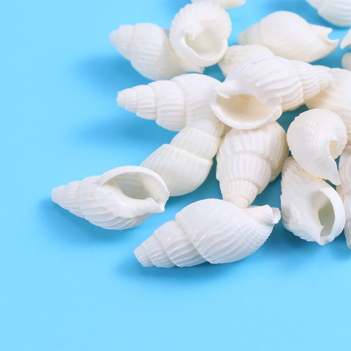 150Pcs 우아한 조가비 껍질 DIY 액세서리 일상 착용을위한 자연 바다 테마 귀걸이 목걸이 파티 웨딩 공예 쉘