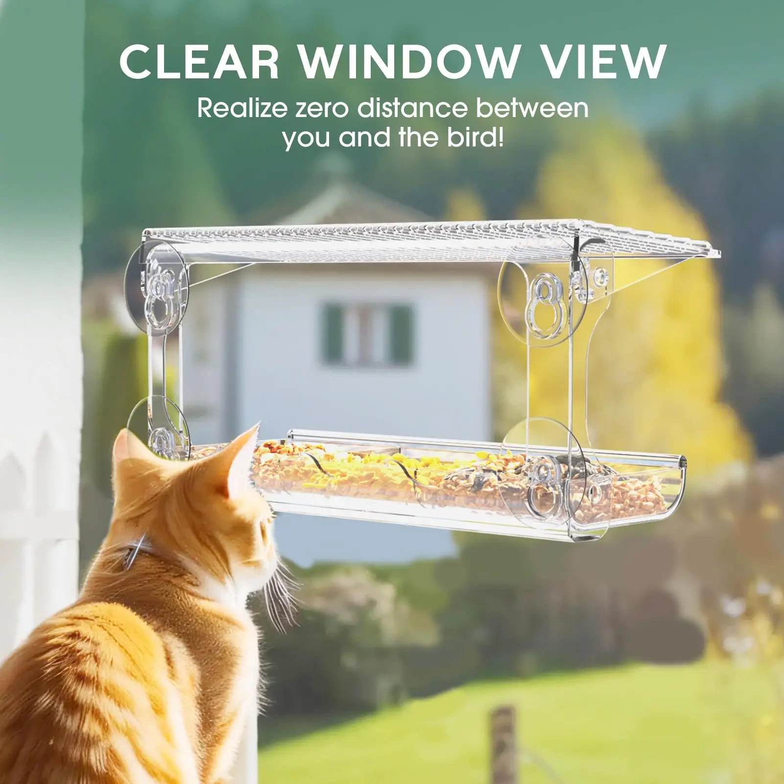 Bird Feeder Window Viewing Bird Feeder with 3 Section Tray and Roof Cover Outdoor Suction Cup Hanger Clear Plastic
