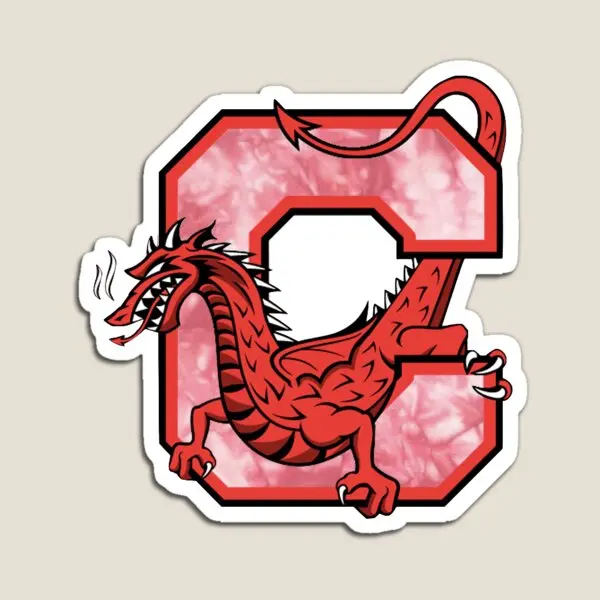 

Tie Dye Suny Cortland Магнитный декор для детской игрушки милые наклейки детский забавный держатель холодильника для детей