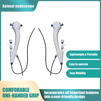 Endoscopia veterinaria flessibile, endoscopi da 1,95 mm/2,5 mm/3 mm/4,3 mm/5 mm/5,5 mm