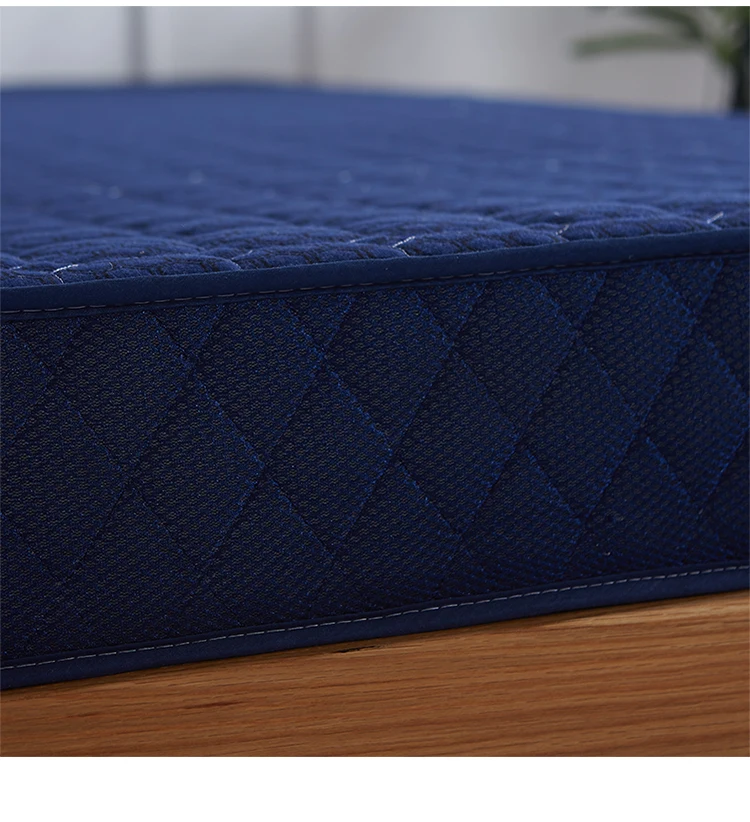 Description Picture 3 of itemTatami Mattress cushion student dormitory single double mat sponge pad thin summer mat quilt thickened household mattress