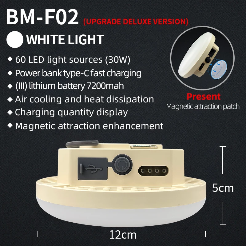 30W White Light