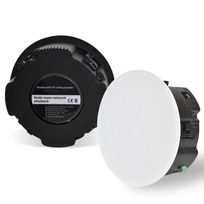 Cs-2 Wifi Btairplay Multi-Room Lan Usb Aux Wireless Hifi Altoparlante Da Soffitto Passivo Attivo Per Sistema Audio Home Audio Theater