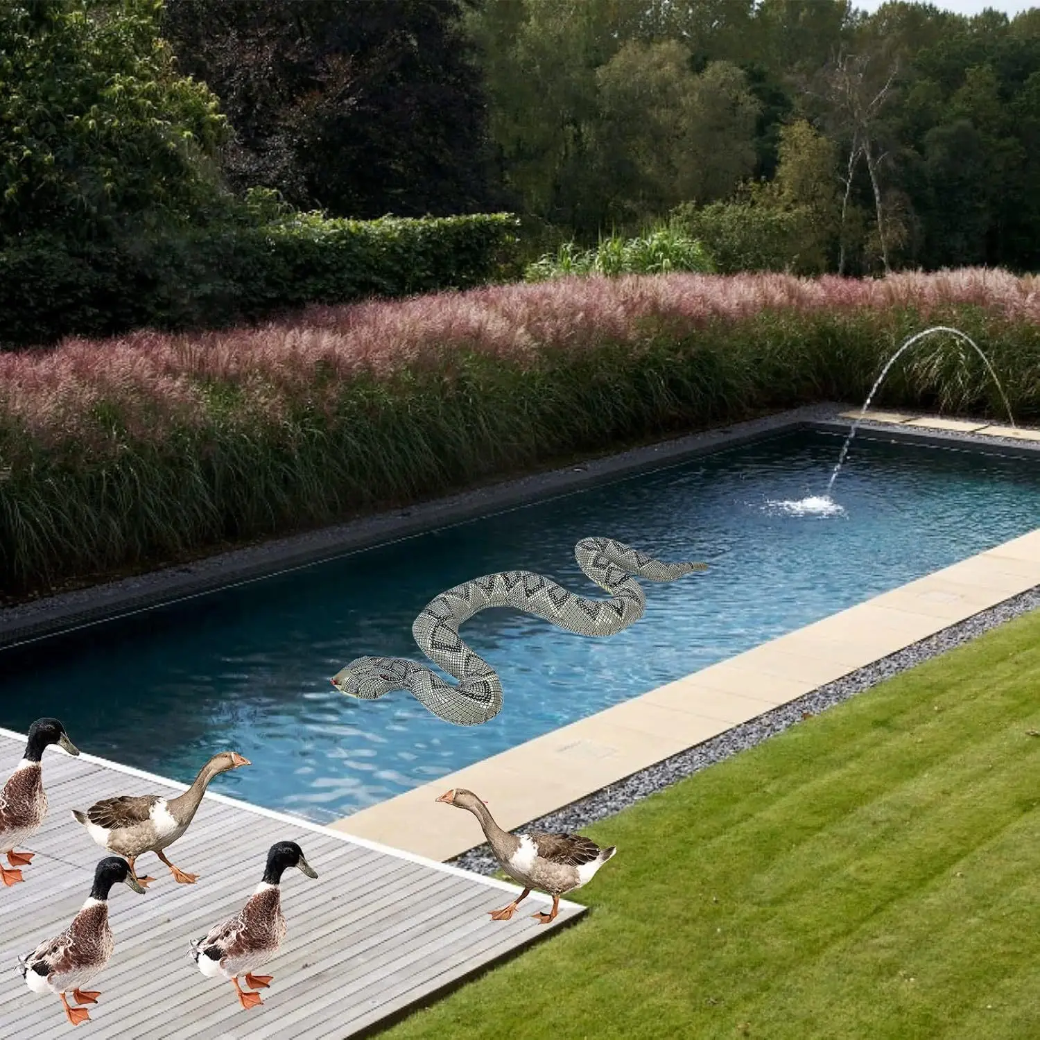 Slide image 9fed211172144e93a69193889f1e1f88