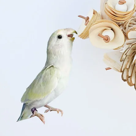 Parrot Bird Supplies Plant Straw Chewing Ring Natural Wood Chip Flower Pine Cone Grass Flower Chew Toy parrot toy bird toy