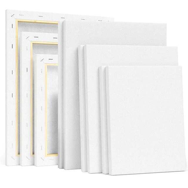 2Pc Stretched Canvas Blank Canvases Assorted Size Pre-Stretched Canvases  White Canvas Boards for Painting for Kids Artist Canvas - AliExpress