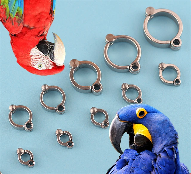 Customized- Bird Leg Rings 10 Numbers at Rs 250/piece | Edappally |  Ernakulam | ID: 27309689362