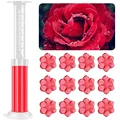 Red Rose