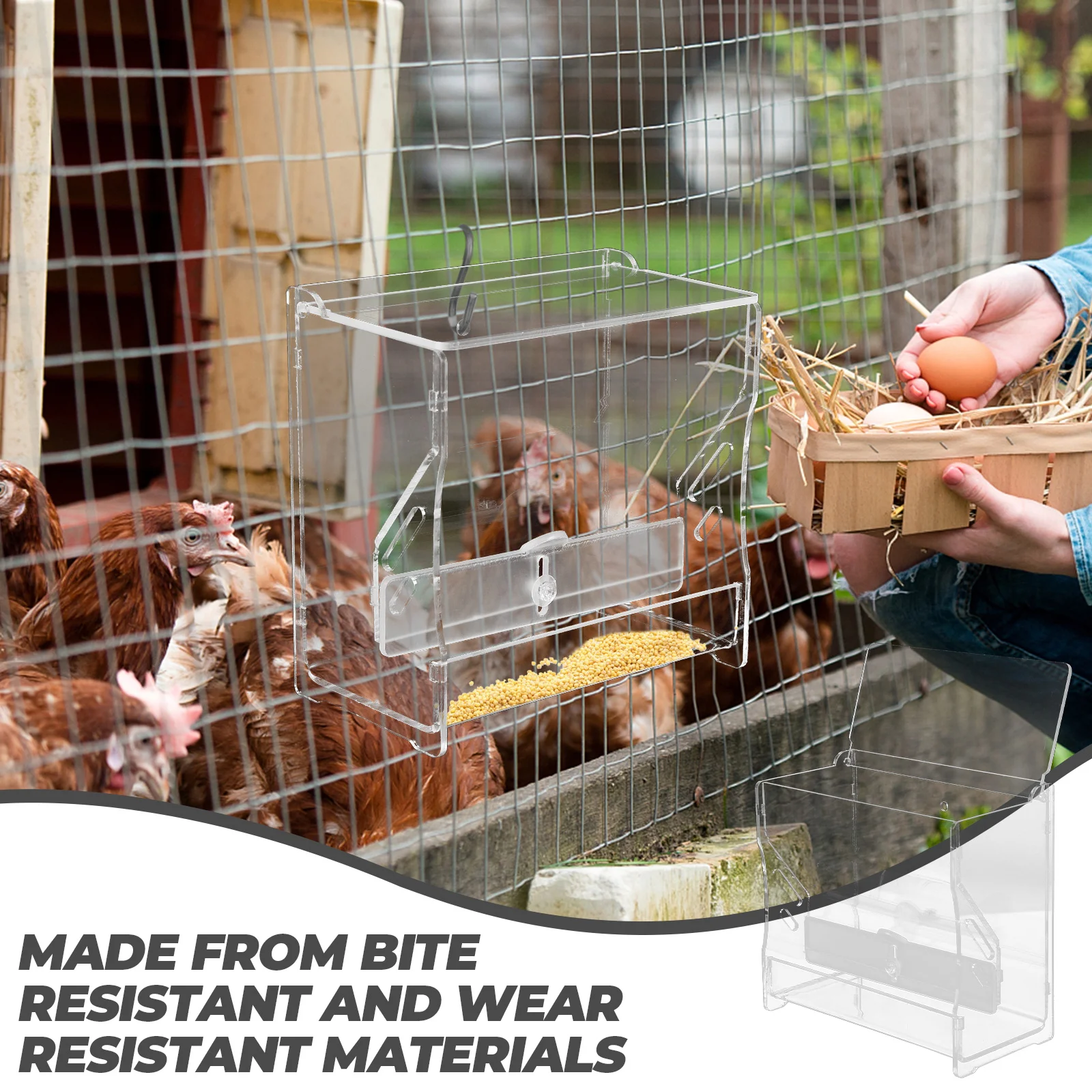 Rutin Chicken Feeder Food Container Bowl Automatic The Bird's Nest Pet Feeding Case Acrylic Clear