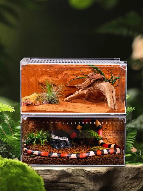 Snake Rack System With Heat 8PC Reptile Breeding Cabinet Insect Spider ...