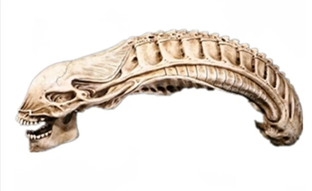 45センチメートルxenomorphエイリアンスカルモデルハロウィン