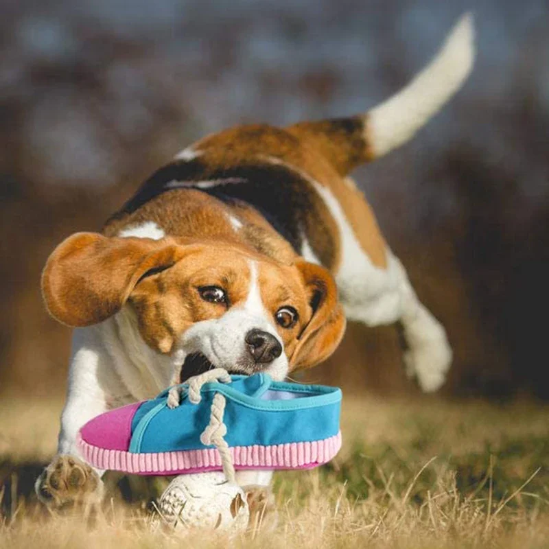 Quietschendes Kauspielzeug Für Hunde In Schuhform – Sicher & Langlebig Für Kleine & Mittlere Hunde