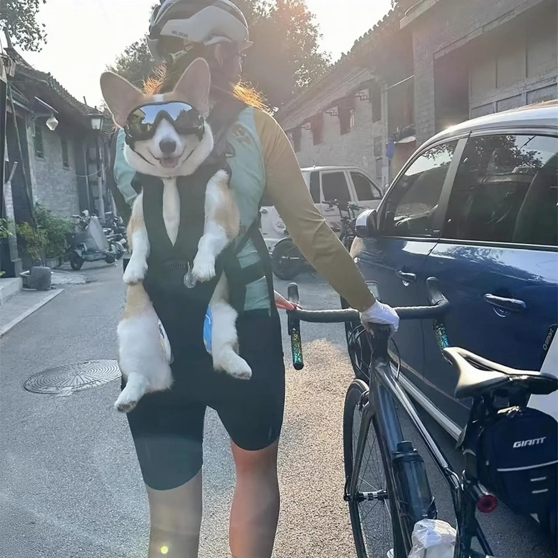 Dog Carrier Backpack Adjustable Pet Carriers Front Facing motorcycle pet backpack Puppy Travel Bag Cycling Pet bag pet carrier bag pet carrying bag pet backpack