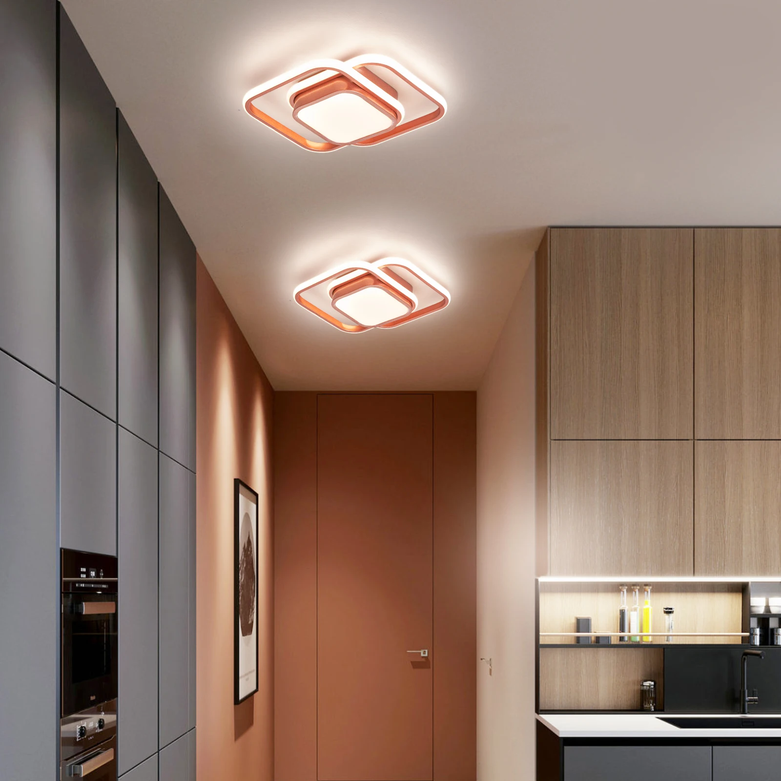 Description Picture 6 of itemModern Led Ceiling Lights Lamp For Corridor Foyer Wall Bed room home decor Rose Gold Black Painted Led lighting Ceiling Lamp