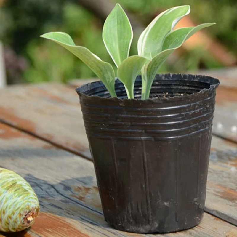 Pot en plastique pour pépinière 8Cm x 8cm, 1000 pièces, conteneur de Propagation des plantes, sac de culture, fournitures de jardin