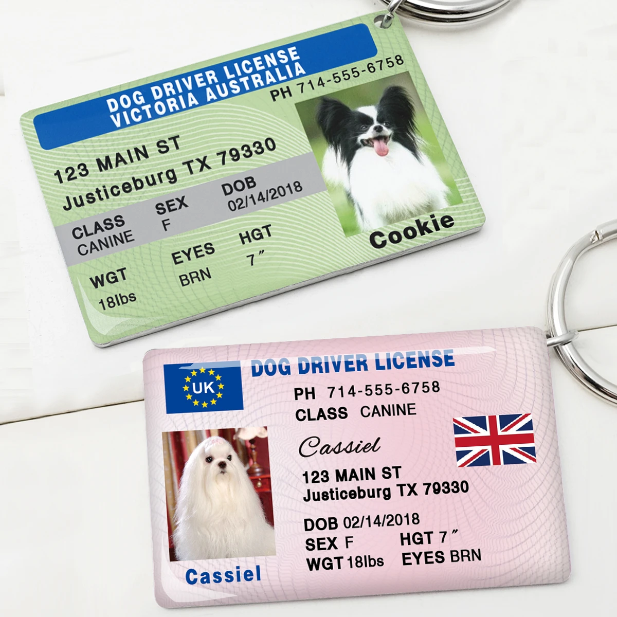 Dog Drivers License Tag Dog Identfication Tag Dog Id Tags License