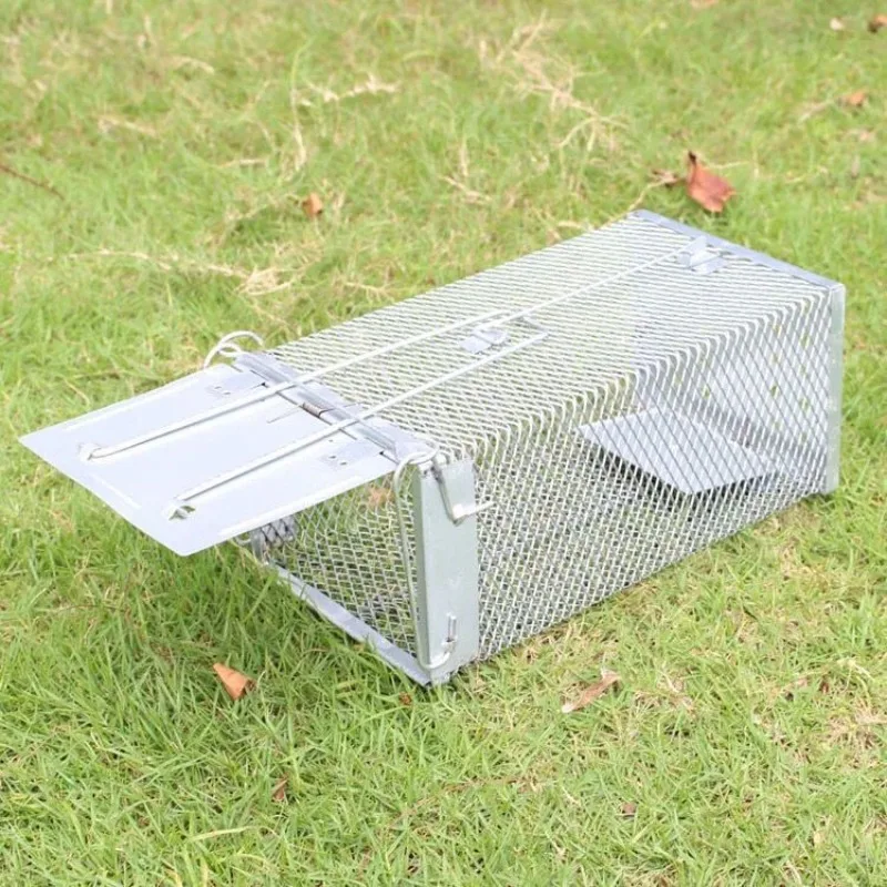 https://ae01.alicdn.com/kf/Sfa65d8db34034d8fa7425ef18baf0eafv/Fully-automatic-household-galvanizing-Rat-Cage-Mousetrap-mouse-trap.jpg