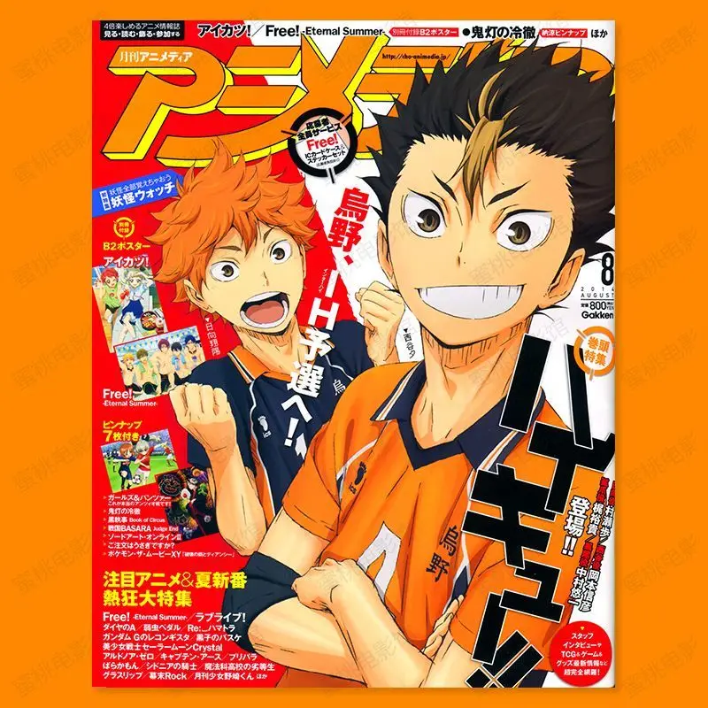 Buy Haikyuu!! All Characters Premium Wall Poster Stickers (45+