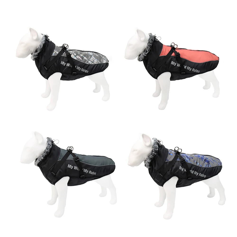 dsc-products