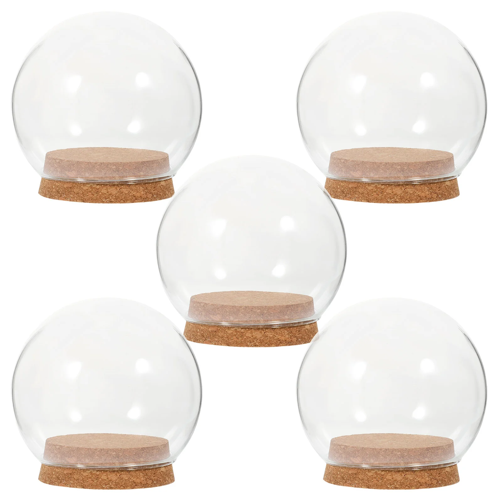 

Preserved Fresh Flowers Glass Cover Eternal Flower Glass Cover Immortal Flower Glass Cover Glass Dome Decoration with Cork