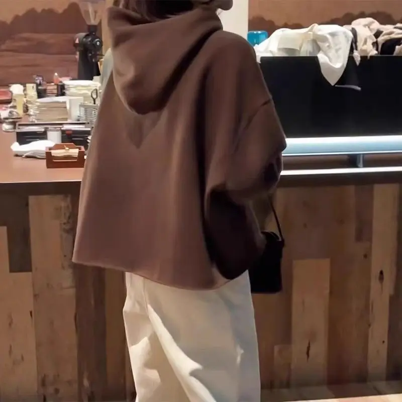 Modisches, langärmliges Sweatshirt mit Kapuze für Damen, 2025, Herbst, neues modisches, faules, lockeres kurzes Oberteil – Detail 4