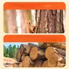 Bite Resistant Pet Dog Chew Toys Molar Teeth Clean Stick Interesting Pine Wood Cute Bone Shape Durable Pet Accessories 5