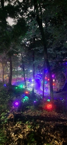 구매후기