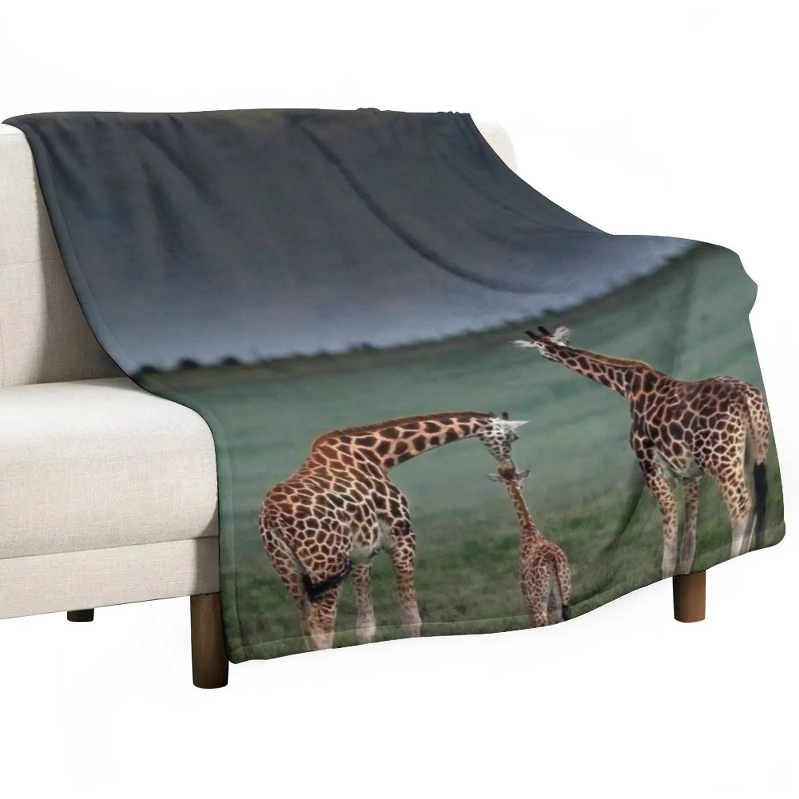 

Giraffe Family Pilansberg National Park Throw Blanket sofa bed Soft Plaid