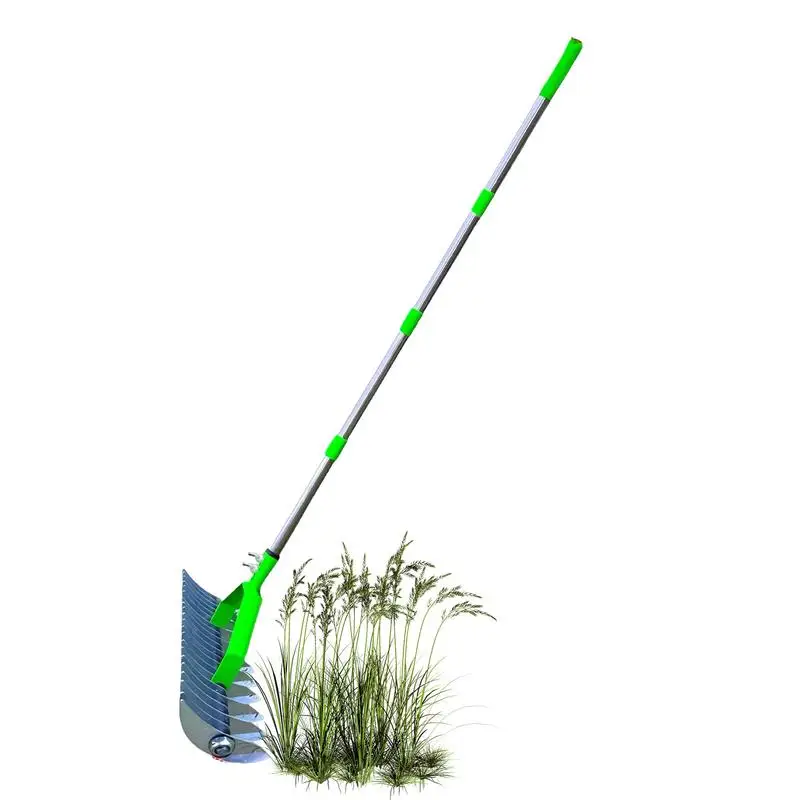 Stainless Steel Thatch Rake Thatching Cleaner Rake Easy To Assemble Gardening Tool Garden Soil Rake Lawn Grass Rake for Garden