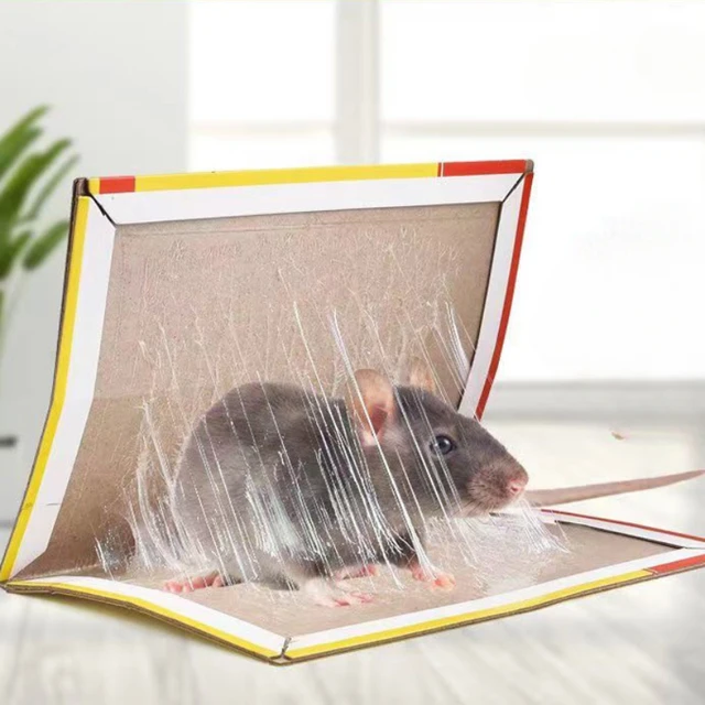 Shop Sticky Transparent Mouse Trap For Big Rat with great