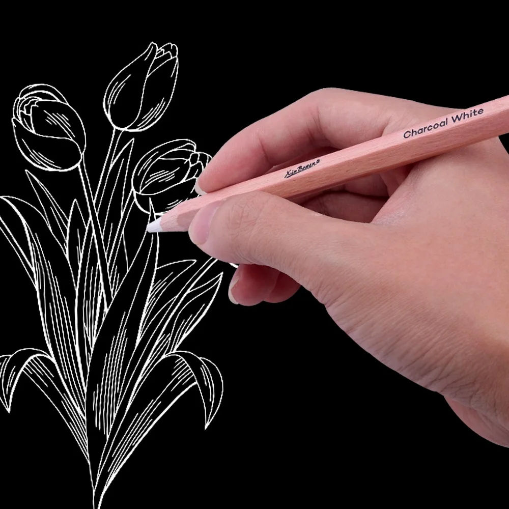 Charcoal Pencils Thick Core Set 2pcs For Drawing Sketching Highlighting Shading Ideal for Artist