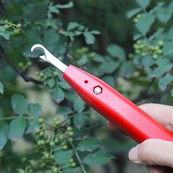 Nuovo Attrezzo Speciale per la Raccolta di Frutta e Verdura, Forbici Specifiche per Frutta Agricola