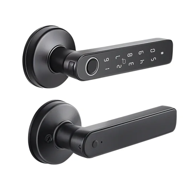 Keyless Spherical Tuya Intelligent Fingerprint Password APP Card Bedroom Door Lock Support Remote Control Unlock 2